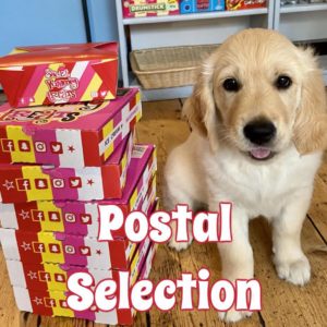Postal boxes