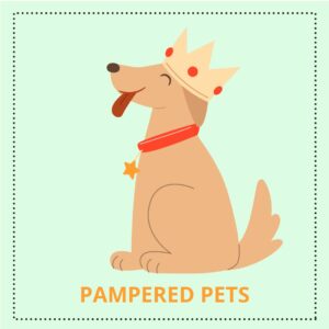 Pampered pooches